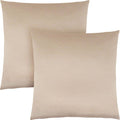 Accent pillow - 18" x 18" - Satin - (Set of Two)