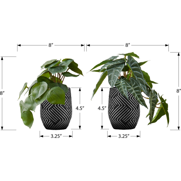 Alocasia - 8" Artificial Plant (Set of 2) in a 5" Black Pot
