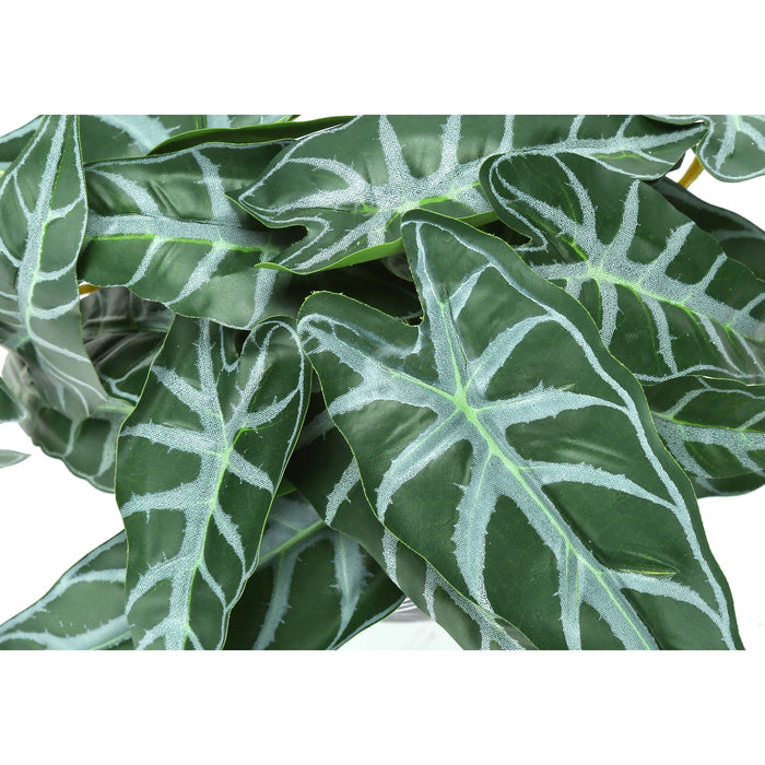 Alocasia - 8" Artificial Plant (Set of 2) in a 5" Black Pot