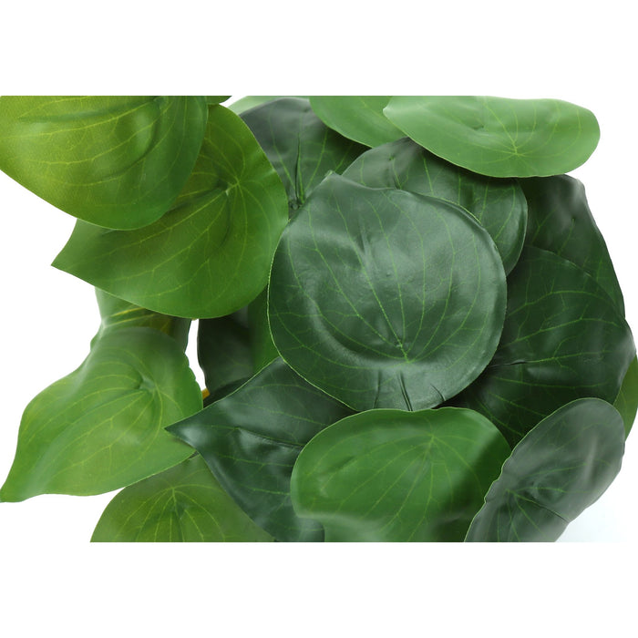 Alocasia - 8" Artificial Plant (Set of 2) in a 5" Black Pot