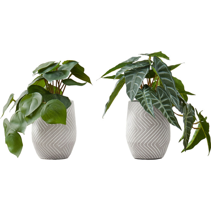 Alocasia - 8" Artificial Plant (Set of 2) in a 5" Cement Pot