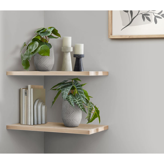 Alocasia - 8" Artificial Plant (Set of 2) in a 5" Cement Pot