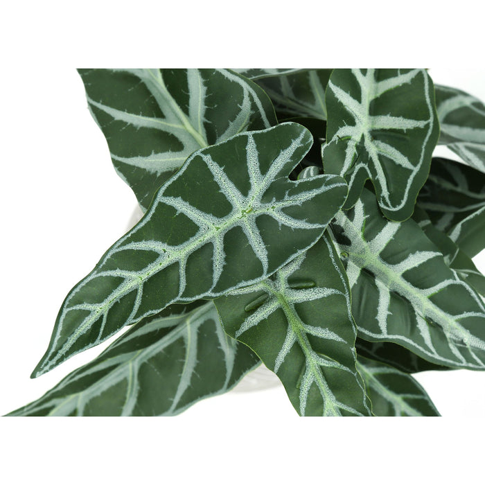Alocasia - 8" Artificial Plant (Set of 2) in a 5" Cement Pot