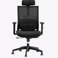 Boyle Ergonomic High-Back Mesh Office Chair with Headrest-Black