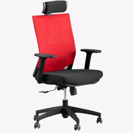Boyle Ergonomic High-Back Mesh Office Chair with Headrest-Black