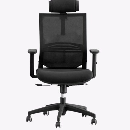Boyle Ergonomic High-Back Mesh Office Chair with Headrest-Black