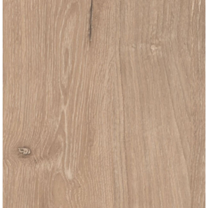 Cielden Panel Headboard - Two-tone