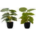 Epipremnum - 13" Artificial Plant (Set of 2) in a 4" Pot