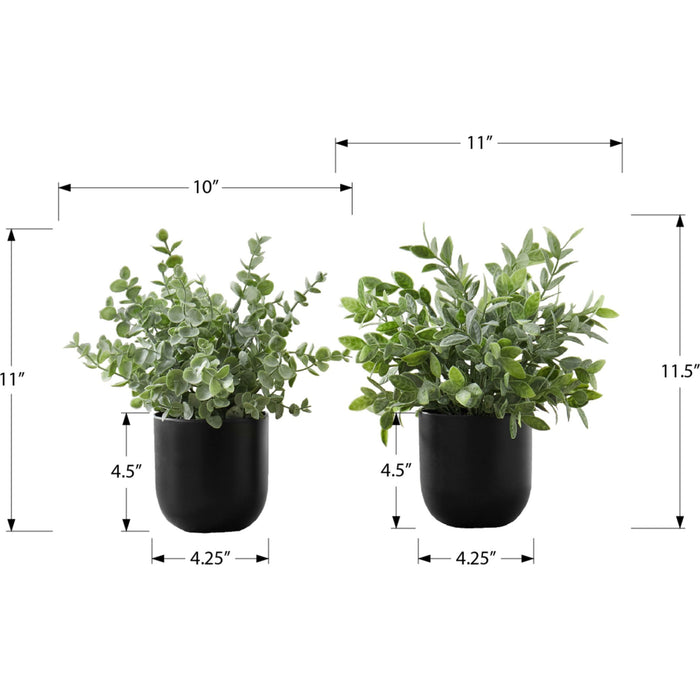 Eucalyptus - 11" Artificial Plant (Set of 2) in a 5" Pot
