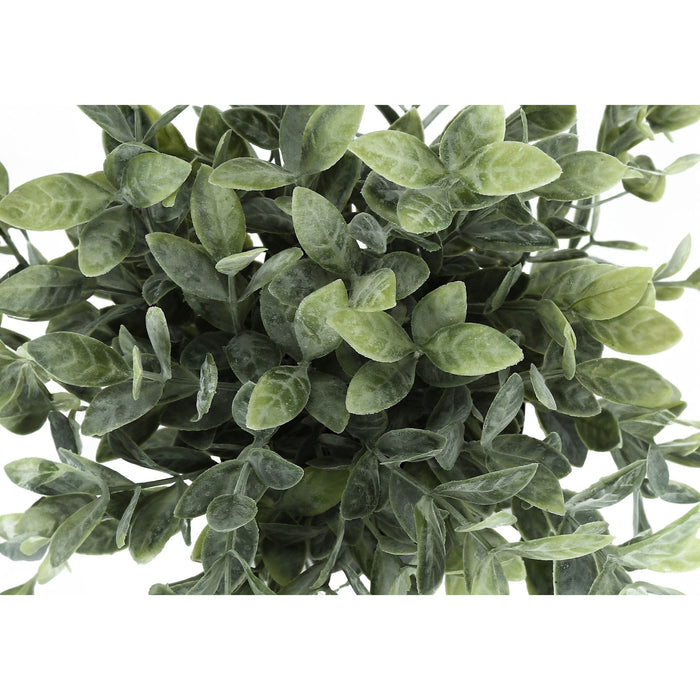 Eucalyptus - 11" Artificial Plant (Set of 2) in a 5" Pot