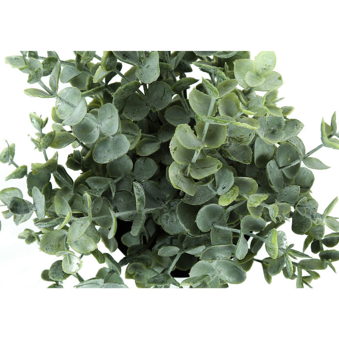 Eucalyptus - 11" Artificial Plant (Set of 2) in a 5" Pot