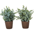 Eucalyptus - 13" Artificial Plant (Set of 2) in a 4" Pot