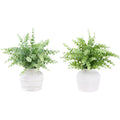 Eucalyptus - 16" Artificial Plant (Set of 2) in a 6" Pot