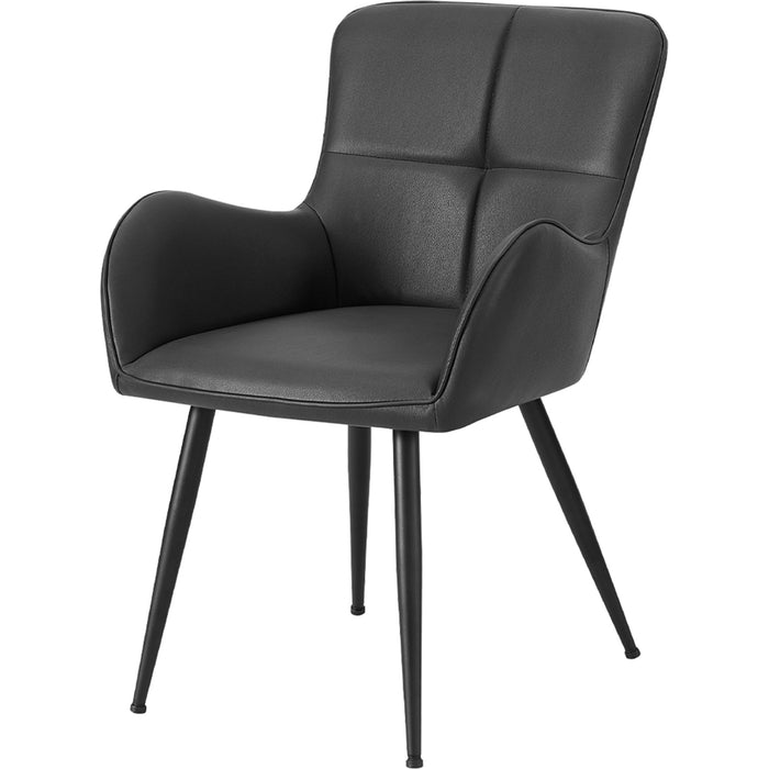 Faux Leather Dining Chair (Set of 2)