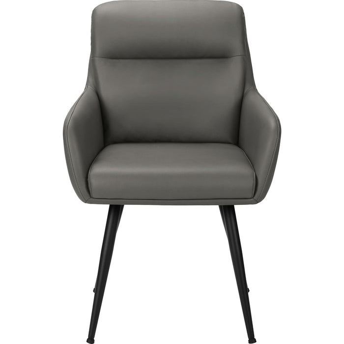 Faux Leather Dining Chair (Set of 2)