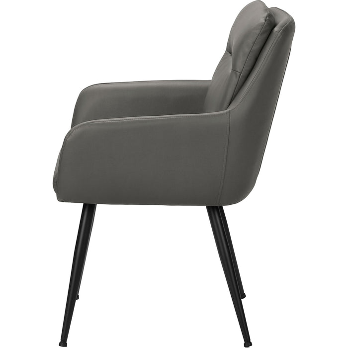 Faux Leather Dining Chair (Set of 2)