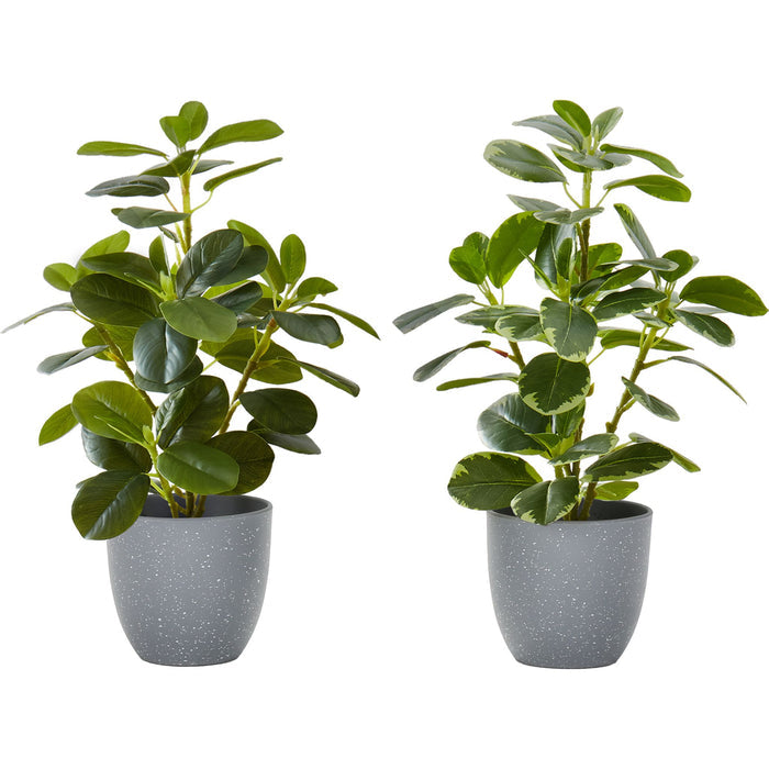 Ficus Elastica - 14" Artificial Plant (Set of 2) in a 4" Pot