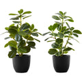Ficus Elastica - 14" Artificial Plant (Set of 2) in a 4" Pot