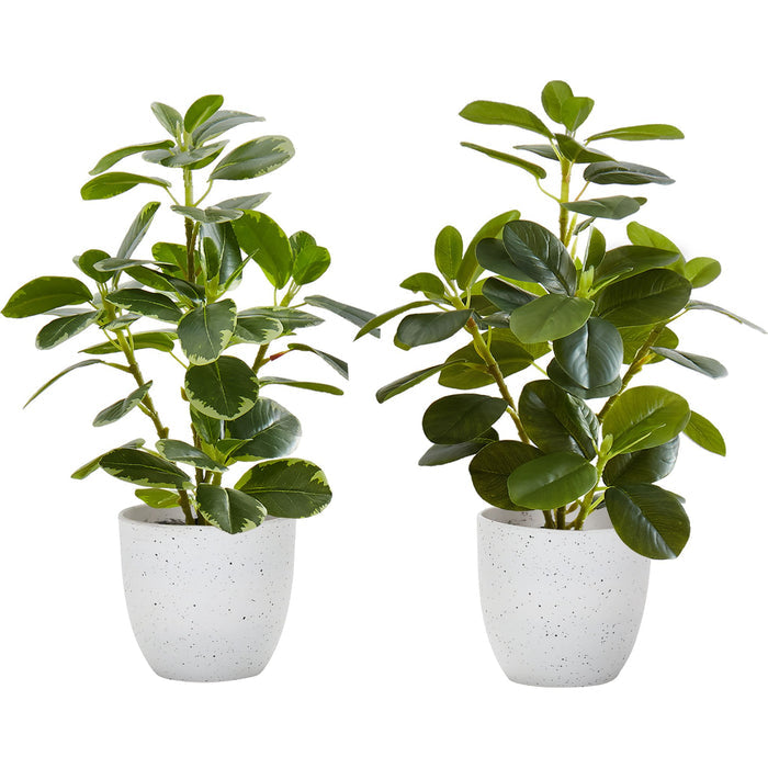 Ficus Elastica - 14" Artificial Plant (Set of 2) in a 4" Pot