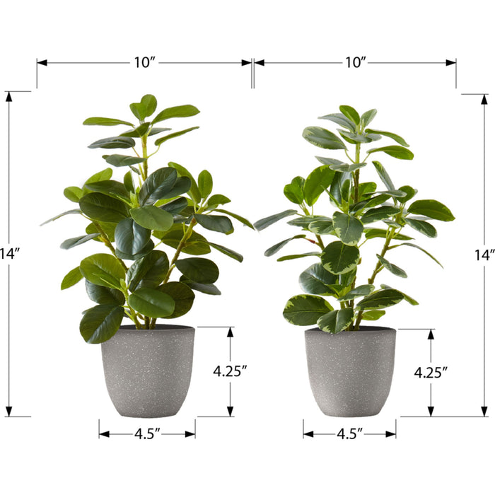 Ficus Elastica - 14" Artificial Plant (Set of 2) in a 4" Pot