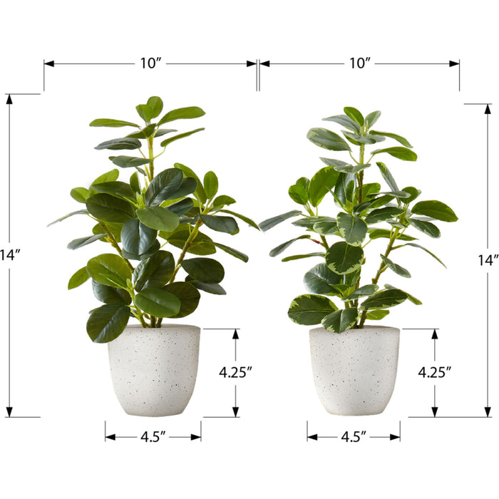 Ficus Elastica - 14" Artificial Plant (Set of 2) in a 4" Pot