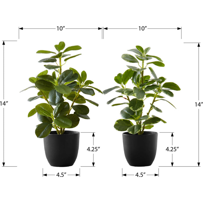 Ficus Elastica - 14" Artificial Plant (Set of 2) in a 4" Pot