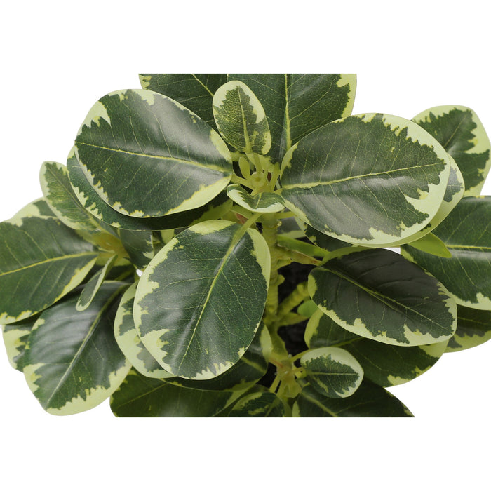 Ficus Elastica - 14" Artificial Plant (Set of 2) in a 4" Pot
