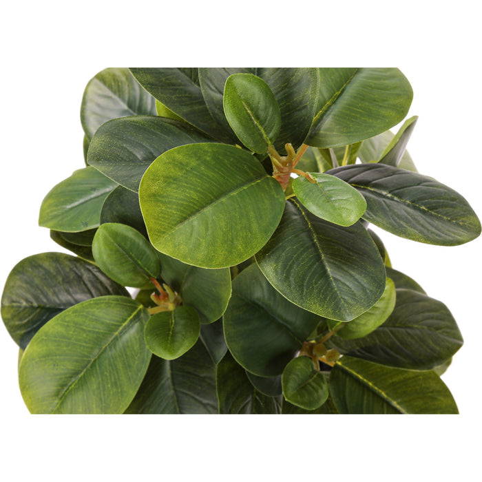 Ficus Elastica - 14" Artificial Plant (Set of 2) in a 4" Pot