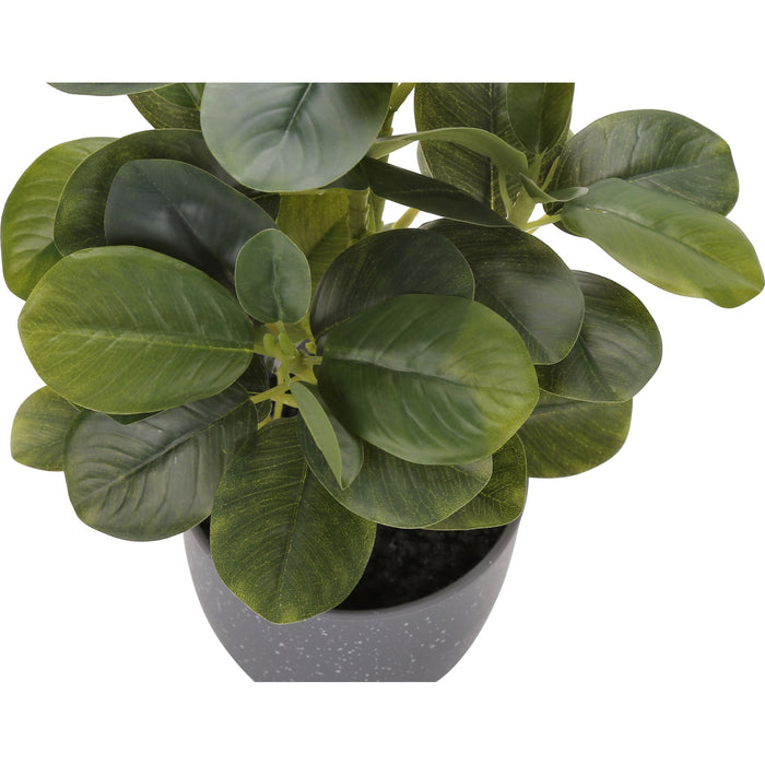 Ficus Elastica - 14" Artificial Plant (Set of 2) in a 4" Pot