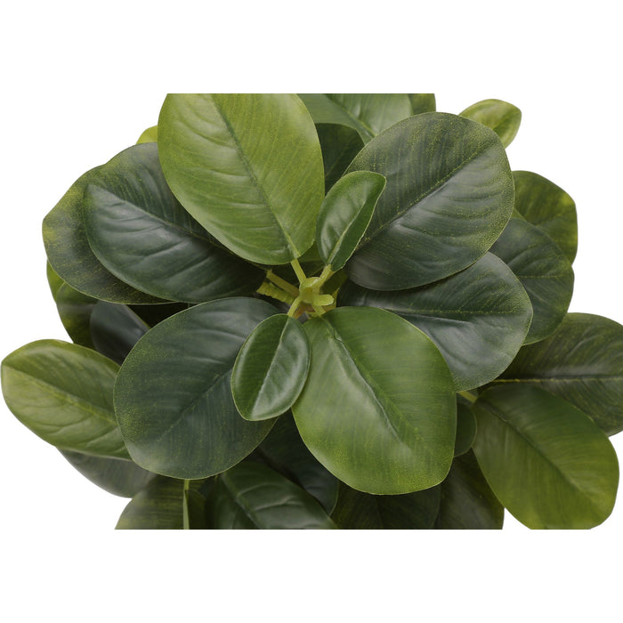 Ficus Elastica - 14" Artificial Plant (Set of 2) in a 4" Pot