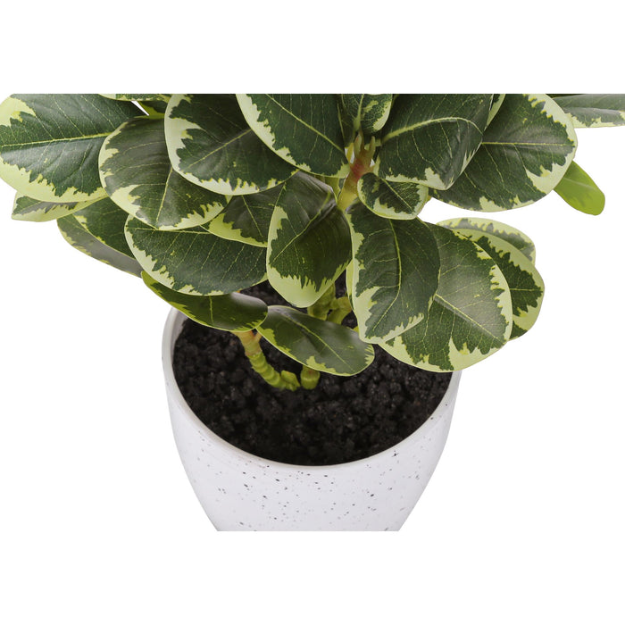 Ficus Elastica - 14" Artificial Plant (Set of 2) in a 4" Pot