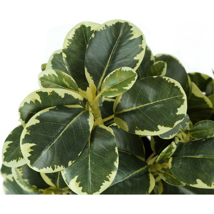 Ficus Elastica - 14" Artificial Plant (Set of 2) in a 4" Pot