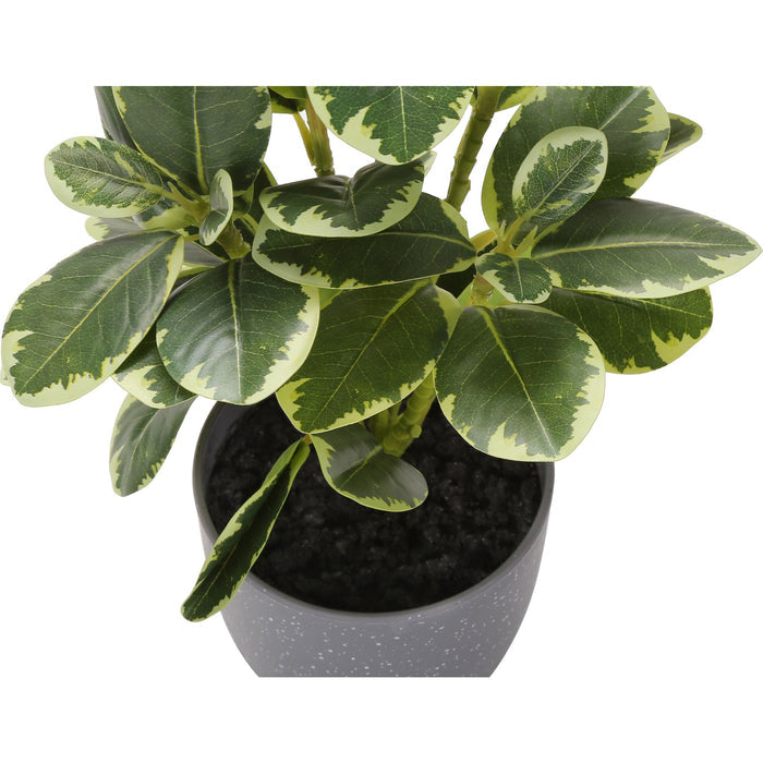 Ficus Elastica - 14" Artificial Plant (Set of 2) in a 4" Pot