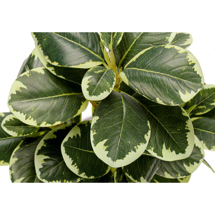 Ficus Elastica - 14" Artificial Plant (Set of 2) in a 4" Pot