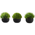 Grass - 5" Artificial Plant (Set of 3) in a 3" Black Pot