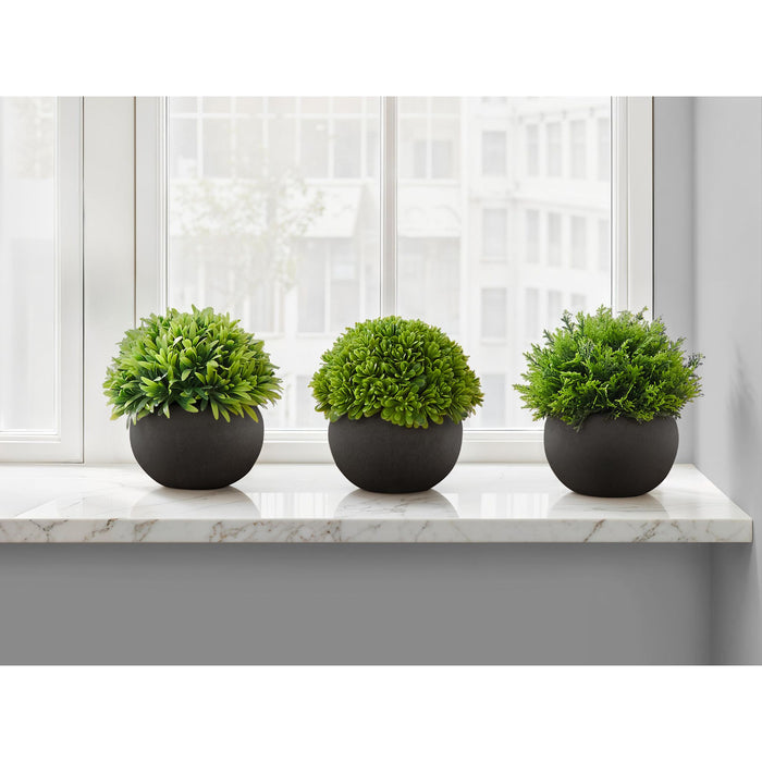 Grass - 5" Artificial Plant (Set of 3) in a 3" Black Pot