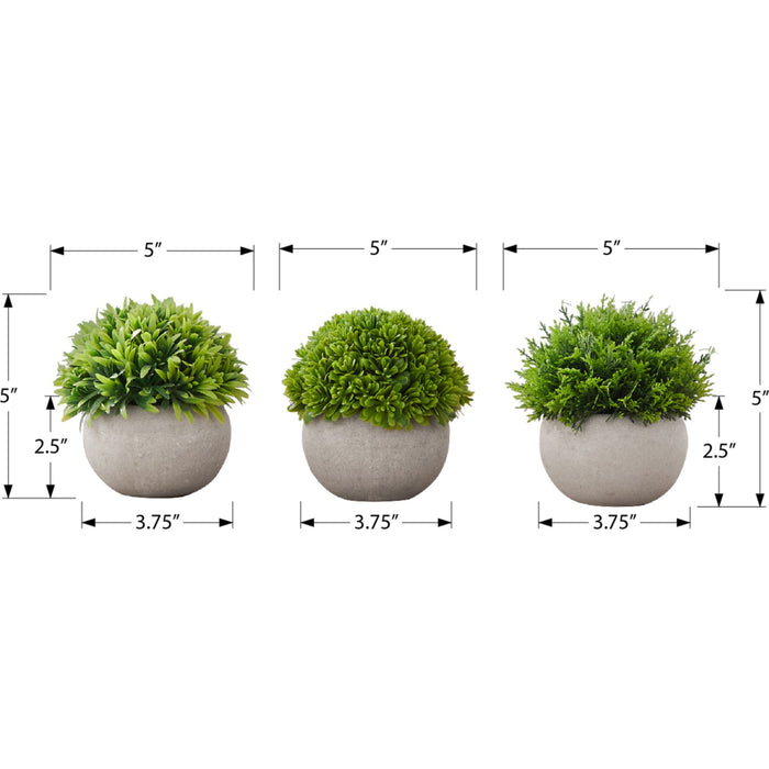 Grass - 5" Artificial Plant (Set of 3) in a 3" Grey Pot