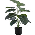 Indoor Alocasia - 24" Artificial Plant in a 5" Pot