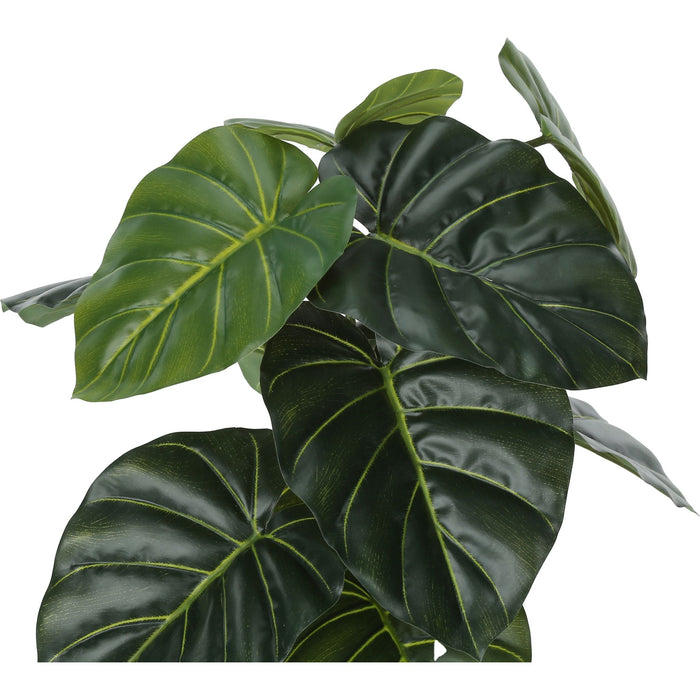 Indoor Alocasia - 24" Artificial Plant in a 5" Pot