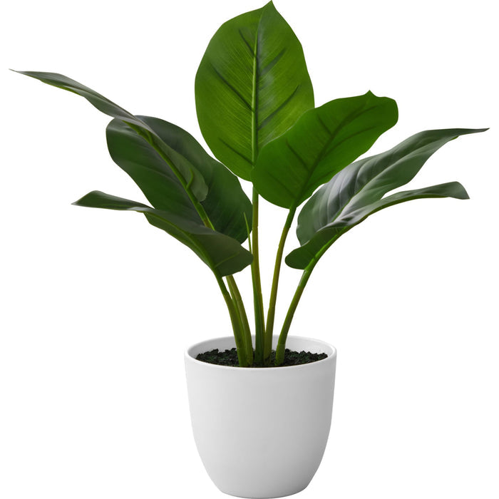 Indoor Aureum - 17" Artificial Plant in a 5" Pot