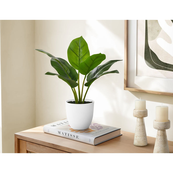 Indoor Aureum - 17" Artificial Plant in a 5" Pot
