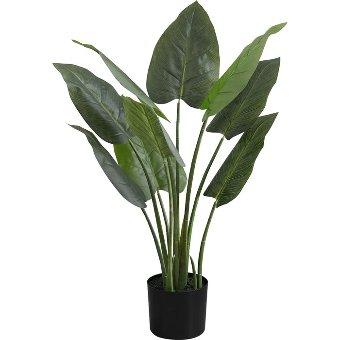 Indoor Aureum - 37" Artificial Plant in a 6" Pot
