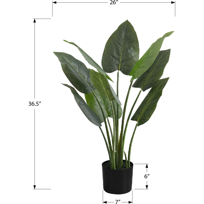 Indoor Aureum - 37" Artificial Plant in a 6" Pot