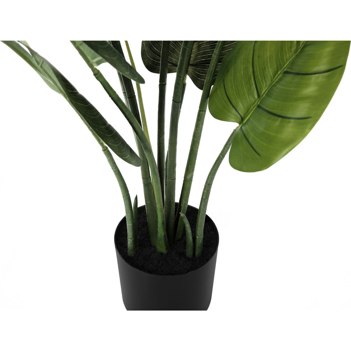 Indoor Aureum - 37" Artificial Plant in a 6" Pot