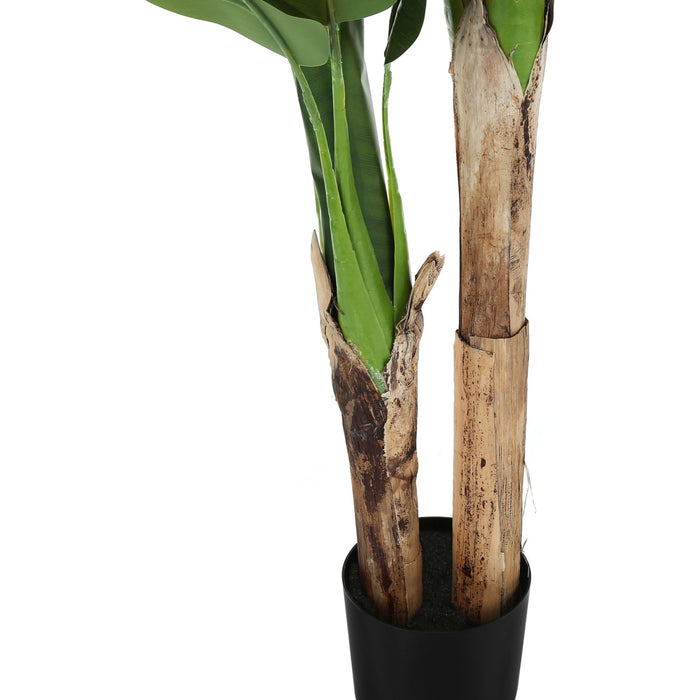 Indoor Banana Tree - 55" Artificial Plant in a 6" Pot
