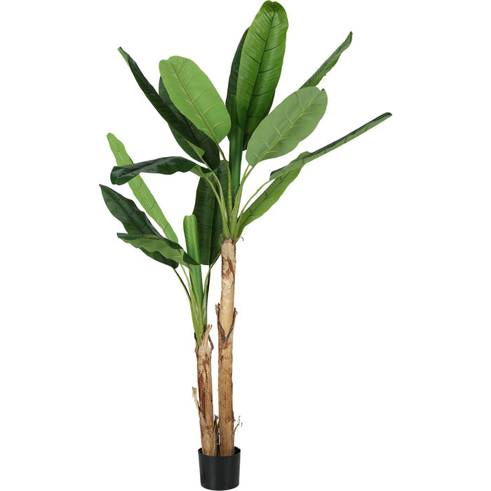 Indoor Banana Tree - 83" Artificial Plant in a 8" Pot