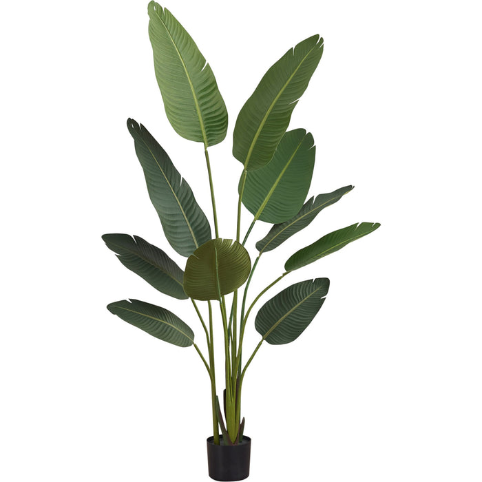Indoor Bird of Paradise - 60" Artificial Plant in a 5" Pot