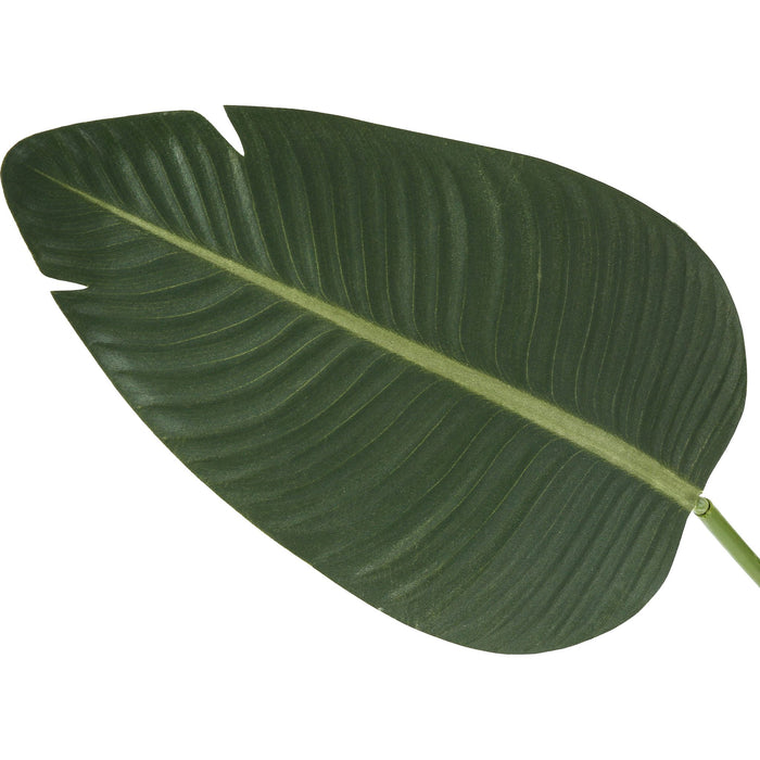 Indoor Bird of Paradise - 60" Artificial Plant in a 5" Pot