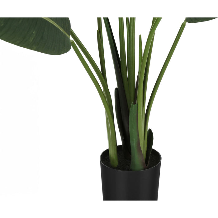 Indoor Bird of Paradise - 60" Artificial Plant in a 5" Pot