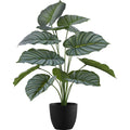Indoor Calathea - 24" Artificial Plant in a 5" Pot